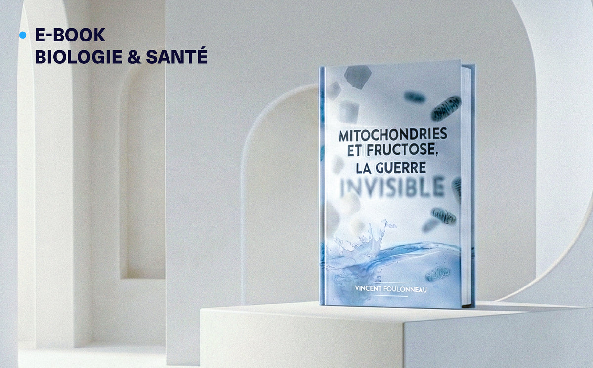 E-book — Fructose et mitochondries