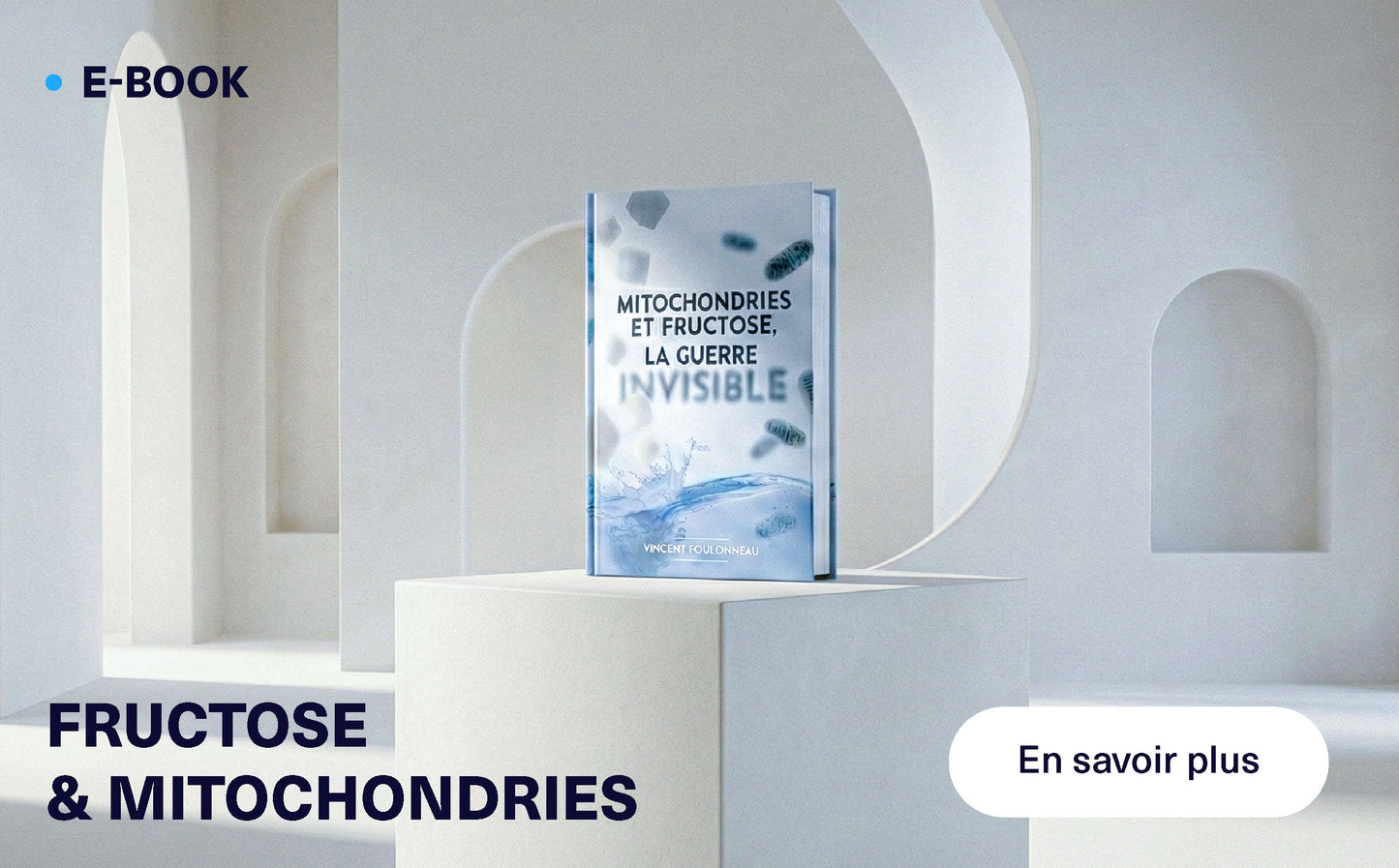 E-book — Fructose et mitochondries